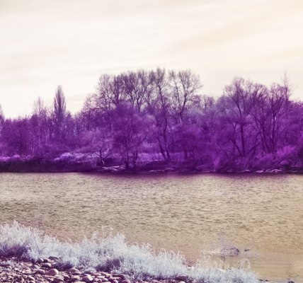 時間河流的回聲 時間河流的回聲