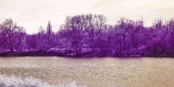 時間河流的回聲