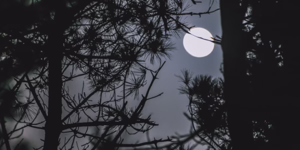 晚風輕拂心底溫柔