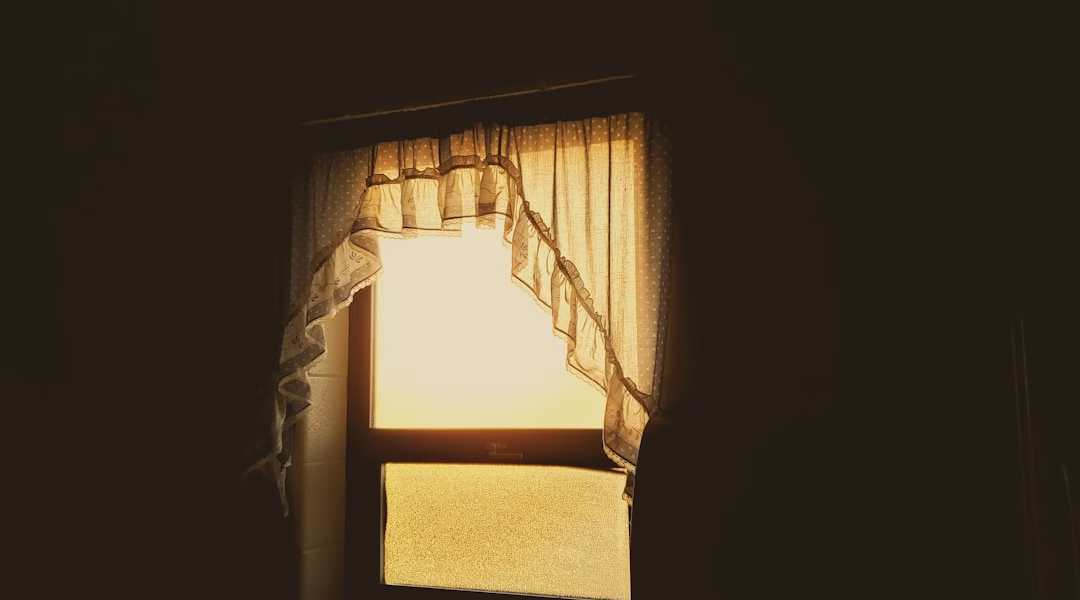 陽光溫暖的奶奶手 陽光溫暖的奶奶手