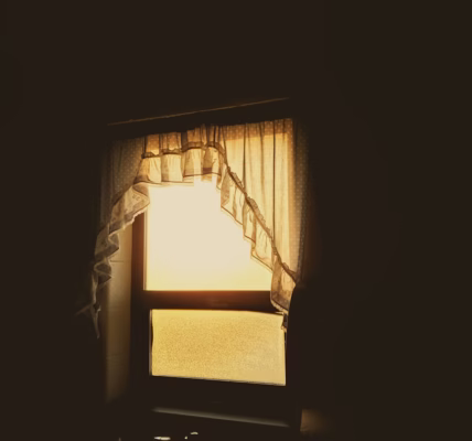 陽光溫暖的奶奶手 陽光溫暖的奶奶手