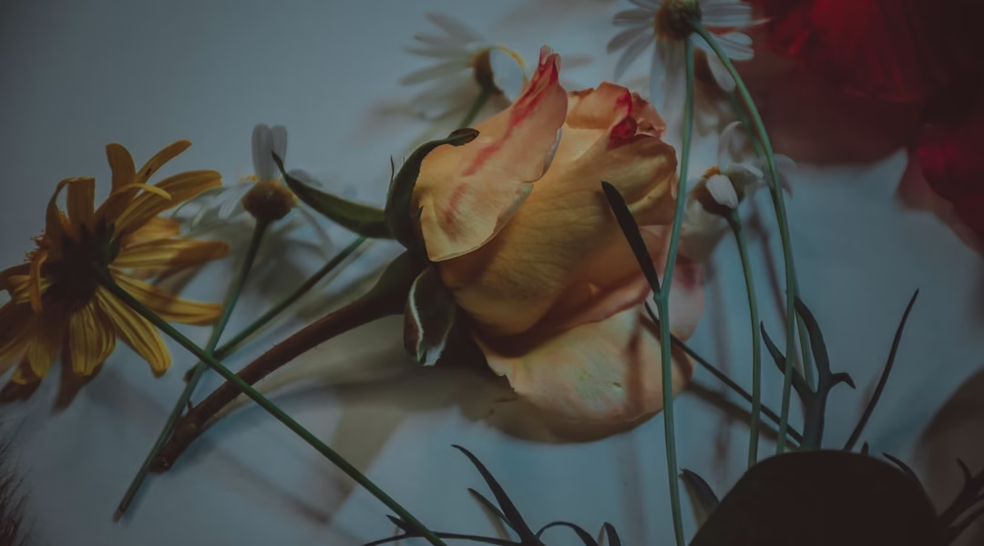 痴心絕對,愛的深海 痴心絕對,愛的深海