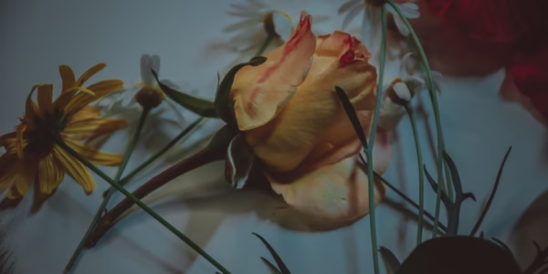 痴心絕對，愛的深海