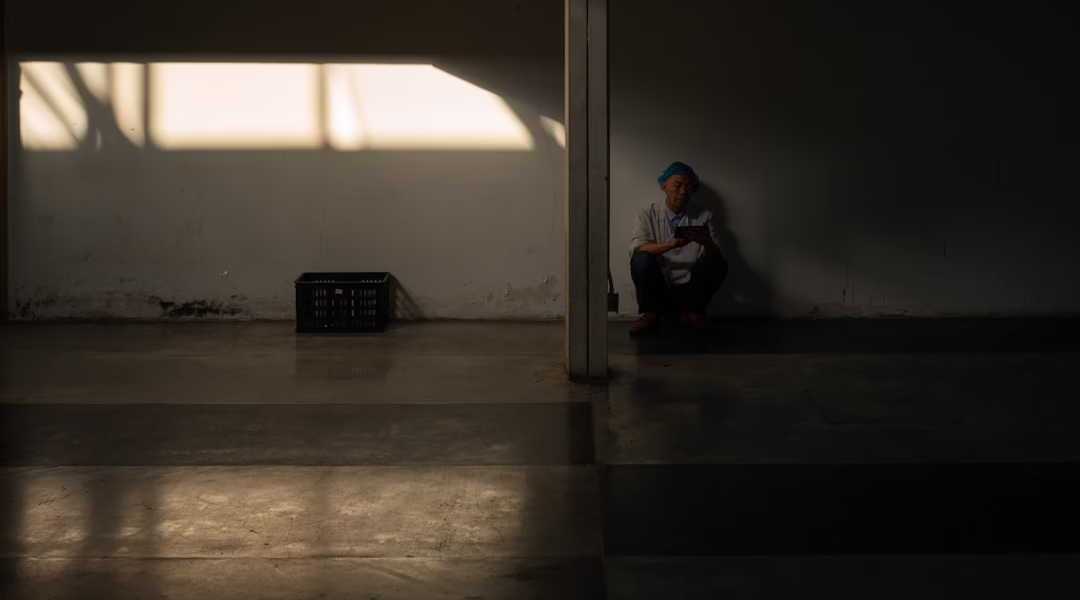 說謊:青春的掙扎 說謊:青春的掙扎