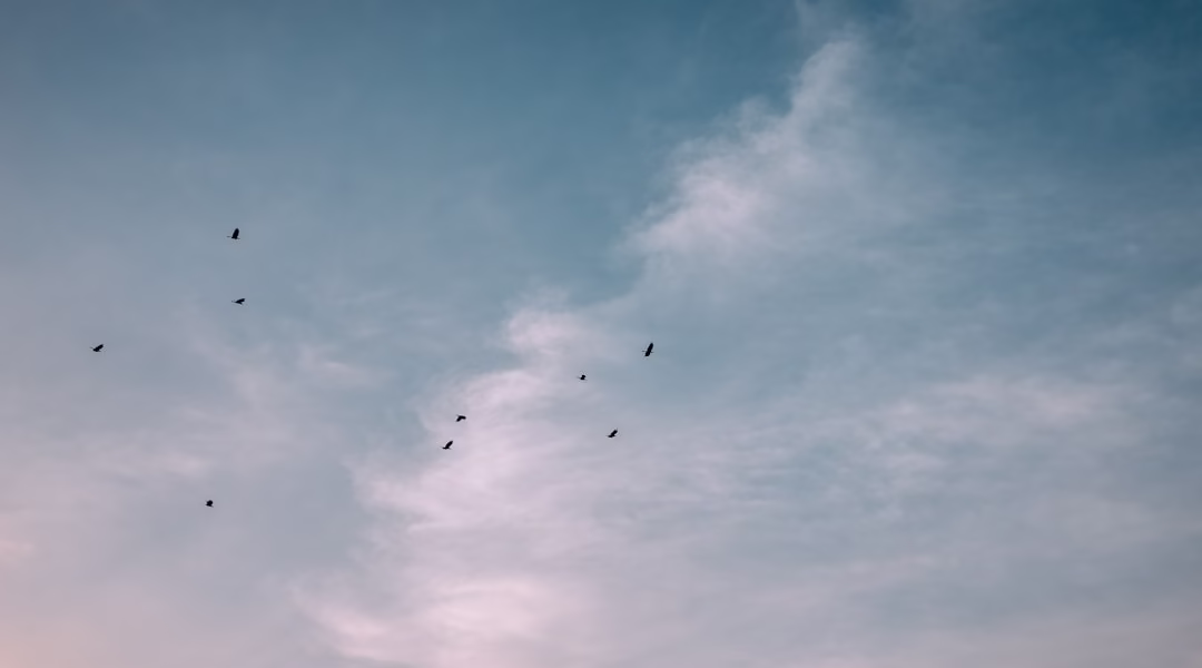 分手后,我在歌里学会勇敢 分手后,我在歌里学会勇敢