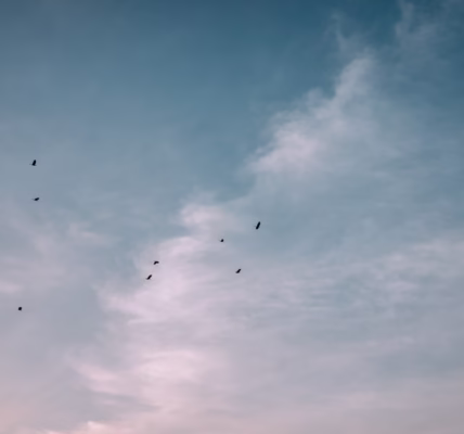 分手后,我在歌里学会勇敢 分手后,我在歌里学会勇敢