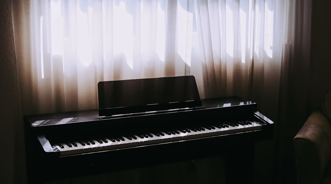 声与歌的心跳 声与歌的心跳