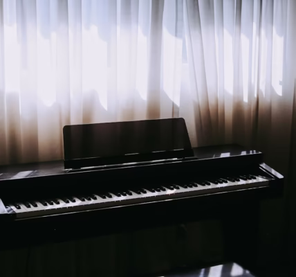 声与歌的心跳 声与歌的心跳