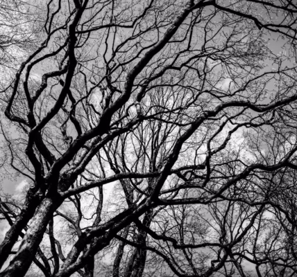 雨中歌声,照亮青春 雨中歌声,照亮青春