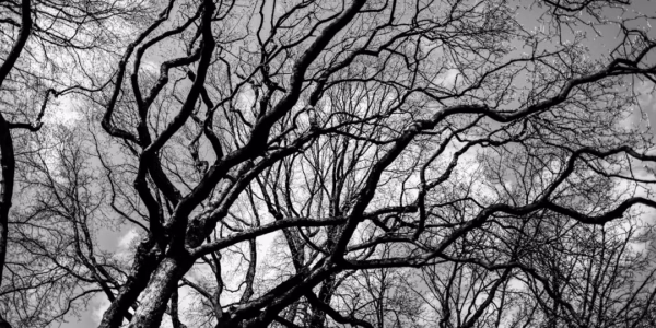 雨中歌声，照亮青春