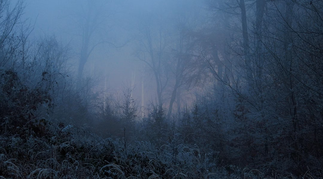 夜冬的星光,我的回忆 夜冬的星光,我的回忆