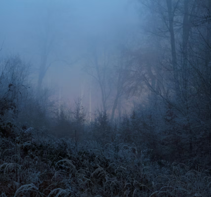 夜冬的星光,我的回忆 夜冬的星光,我的回忆