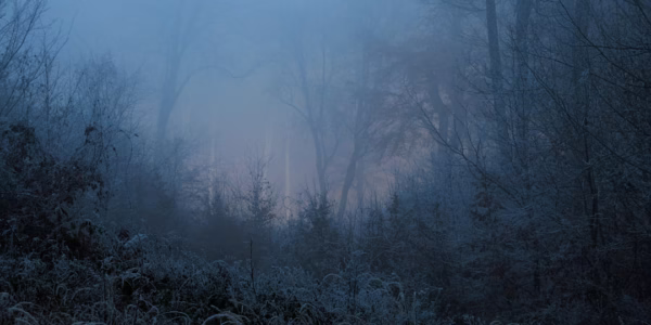 夜冬的星光，我的回忆