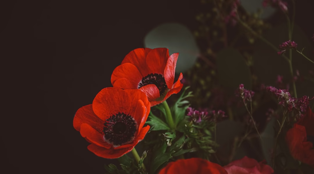 為父母的犧牲，我的微笑