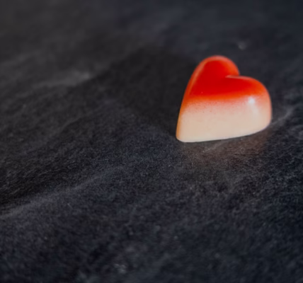 标题:红豆映我心 标题:红豆映我心