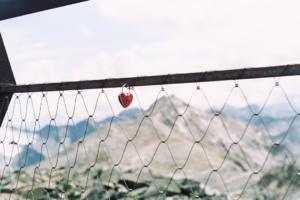 紅豆的等待 紅豆的等待