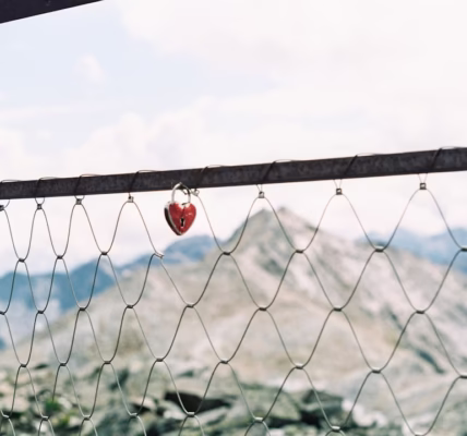 紅豆的等待 紅豆的等待