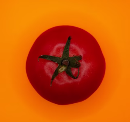 等待在紅豆的光影 等待在紅豆的光影