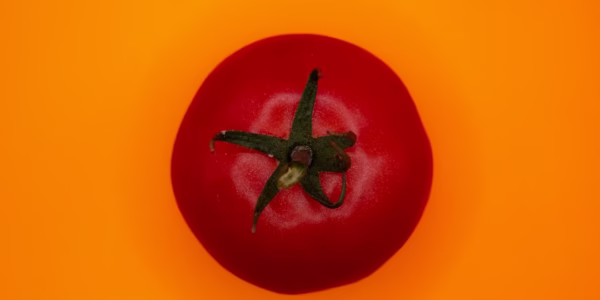 等待在紅豆的光影