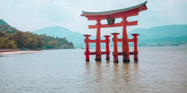 雨夜的花瓣：日語歌聲的風景