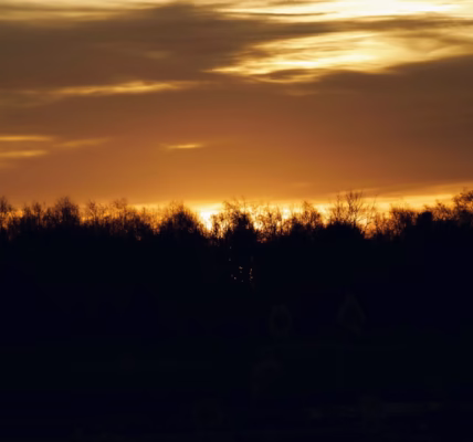 遠離故鄉,歌聲仍在心底回旋 遠離故鄉,歌聲仍在心底回旋