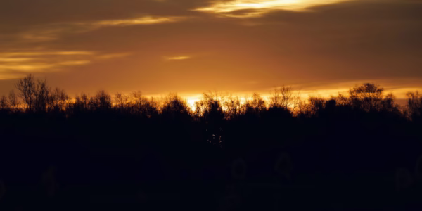 遠離故鄉，歌聲仍在心底回旋