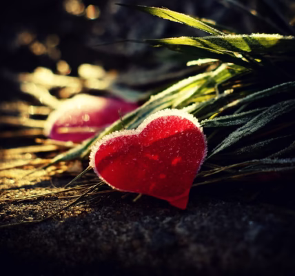 雨后晴天的遗憾