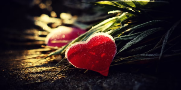 雨后晴天的遗憾