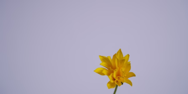 照片裡的你，留住我心