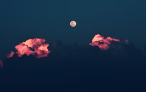 月亮在我心中舞