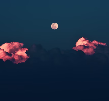 月亮在我心中舞