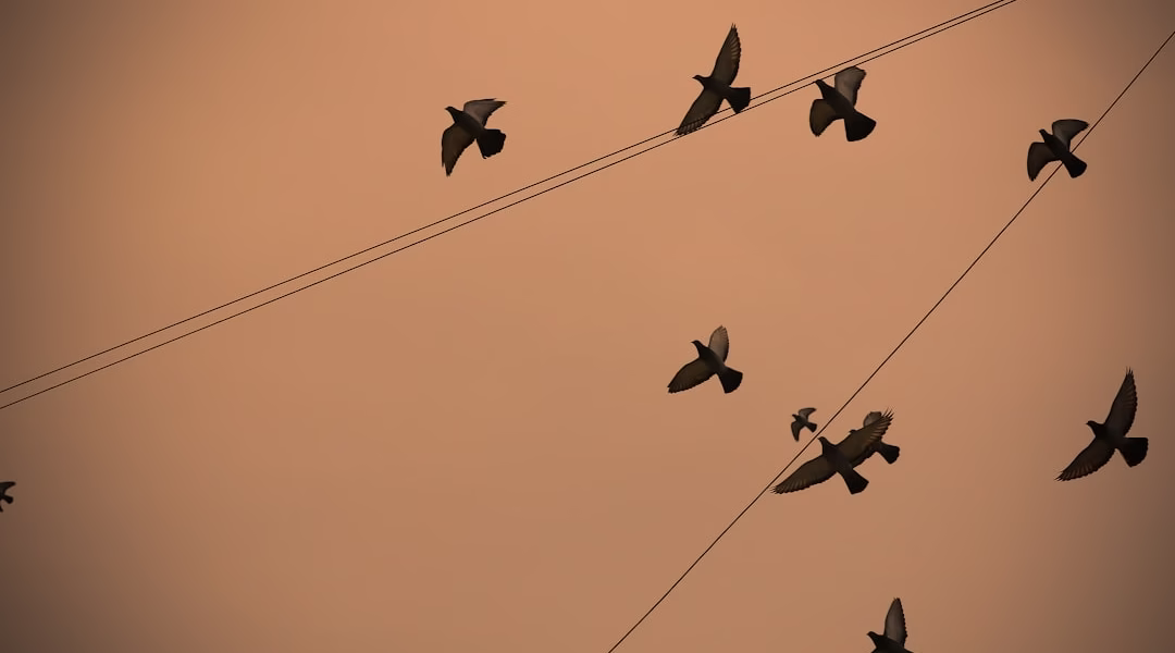 握住夢的手心 握住夢的手心