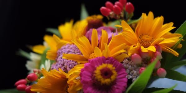 花開等你　愛的期盼