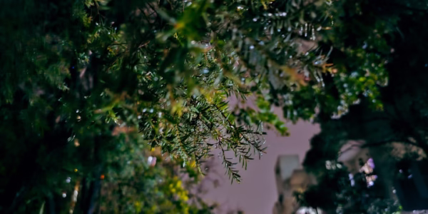 氧氣：你是我的呼吸