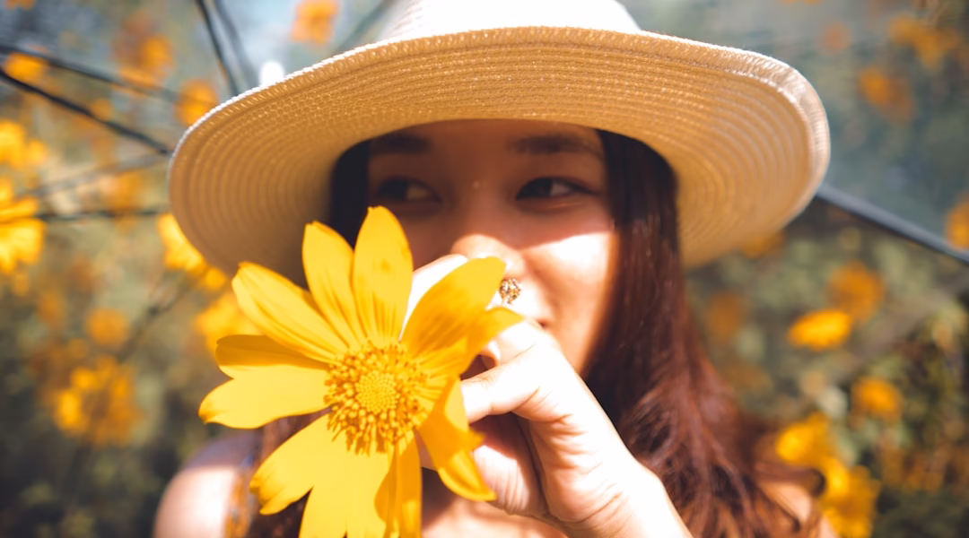 花影里的友情记忆 花影里的友情记忆