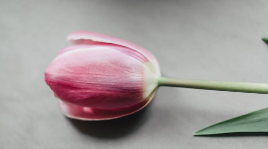 標題:那一刻我已不再是個無所畏懼的少年 標題:那一刻我已不再是個無所畏懼的少年