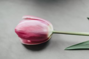 標題:那一刻我已不再是個無所畏懼的少年 標題:那一刻我已不再是個無所畏懼的少年