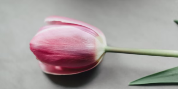 標題：那一刻我已不再是個無所畏懼的少年