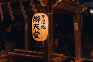 風輕拂耳邊的光——葉璦菱日語歌的心靈映像 風輕拂耳邊的光——葉璦菱日語歌的心靈映像