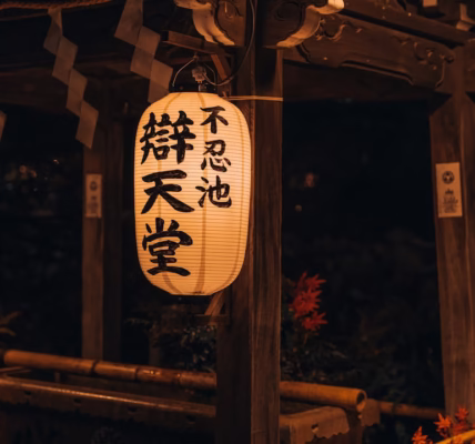 風輕拂耳邊的光——葉璦菱日語歌的心靈映像 風輕拂耳邊的光——葉璦菱日語歌的心靈映像