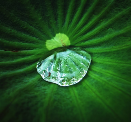 在旋律中尋找自己的光 在旋律中尋找自己的光