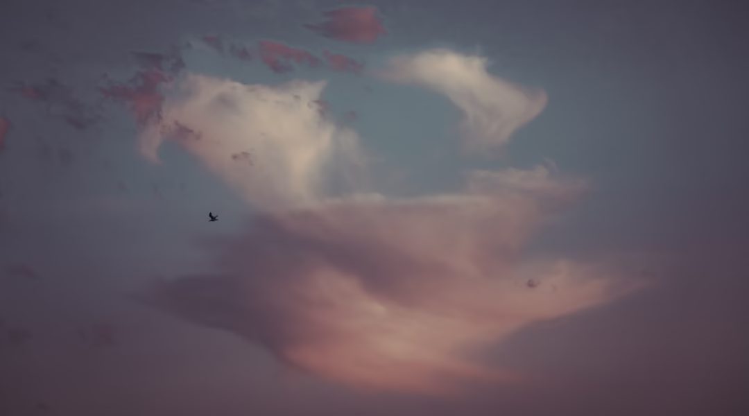 雲端裡的寂寞小詩 雲端裡的寂寞小詩