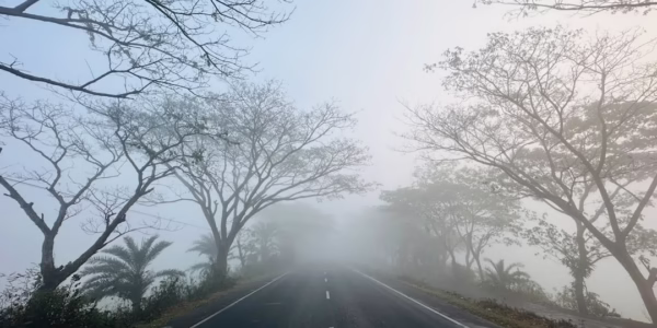 远方的路，心中回响