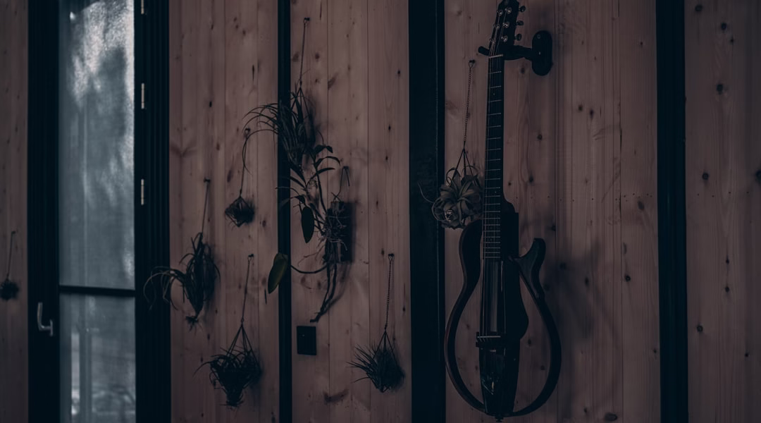 聽見回聲,家的聲音 聽見回聲,家的聲音