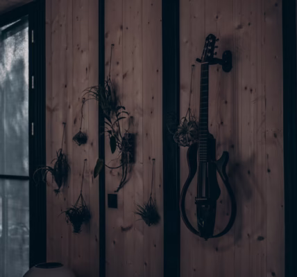 聽見回聲,家的聲音 聽見回聲,家的聲音