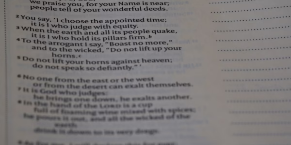 尋夢園，青春的回聲