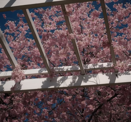 春風滿小城，心隨風起舞