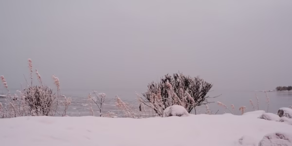 港光映雪影的回憶