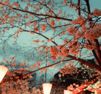 雨中聆聽鄧麗君的歌 雨中聆聽鄧麗君的歌