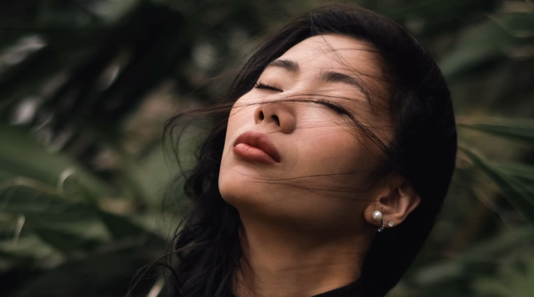 愛情轉移的路口 愛情轉移的路口